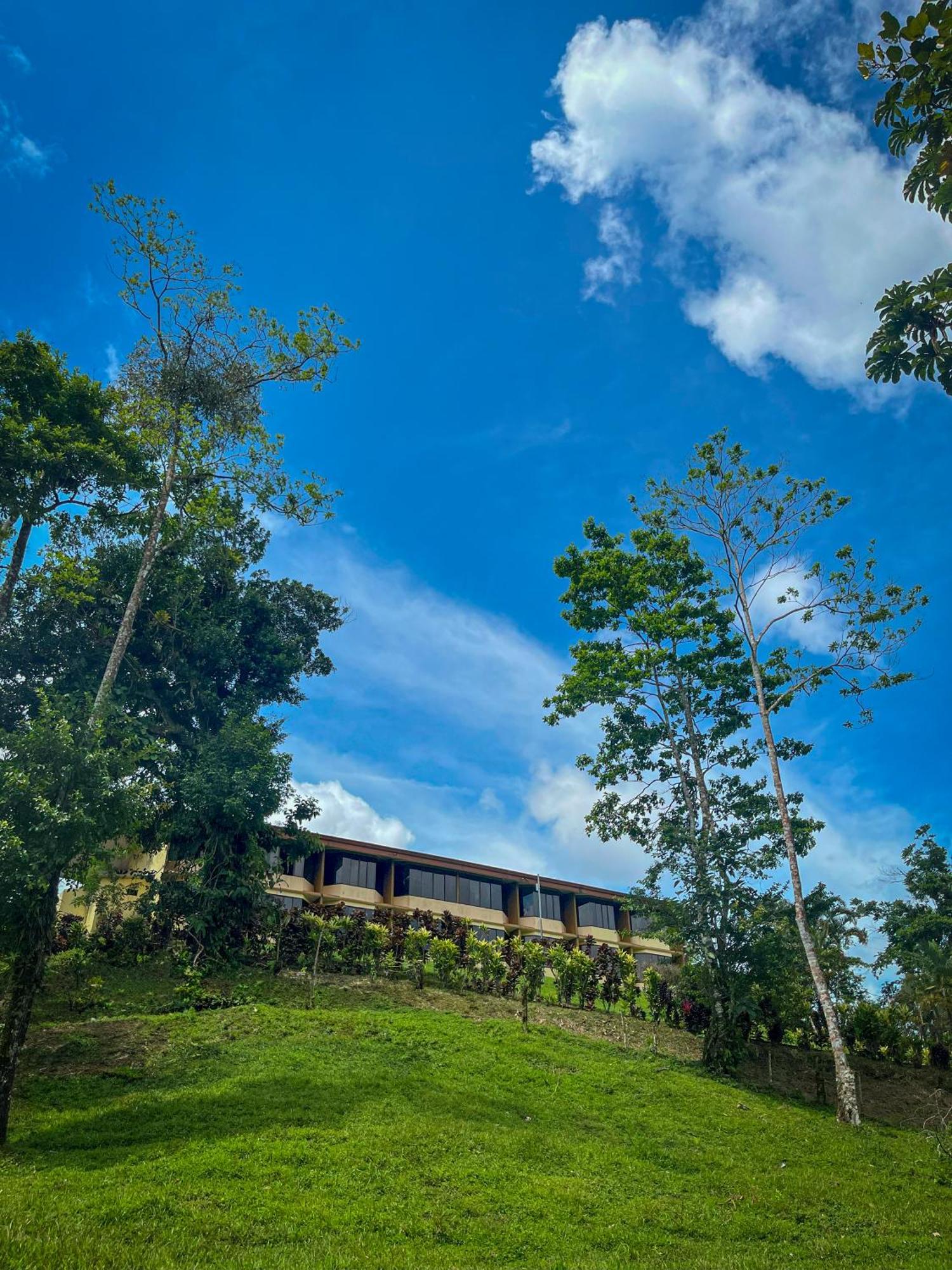 Arenal Roca Lodge & Bungalows La Fortuna Eksteriør bilde